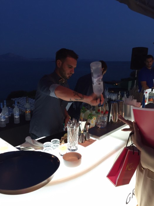 bar-solutions-greygoose-sponsor-maria-kallas-institution-005